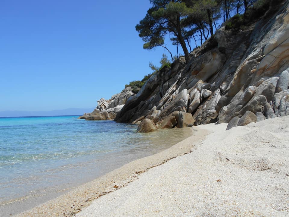 Nos vedettes ont pris le champ: l'été 2026 vire au festival de photos de vacances