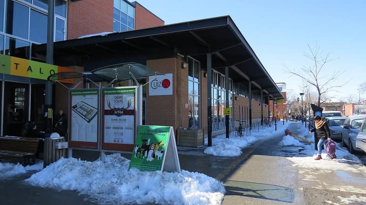 Le marché Jean-Talon, ton terrain de jeu gourmand dans la Petite-Italie