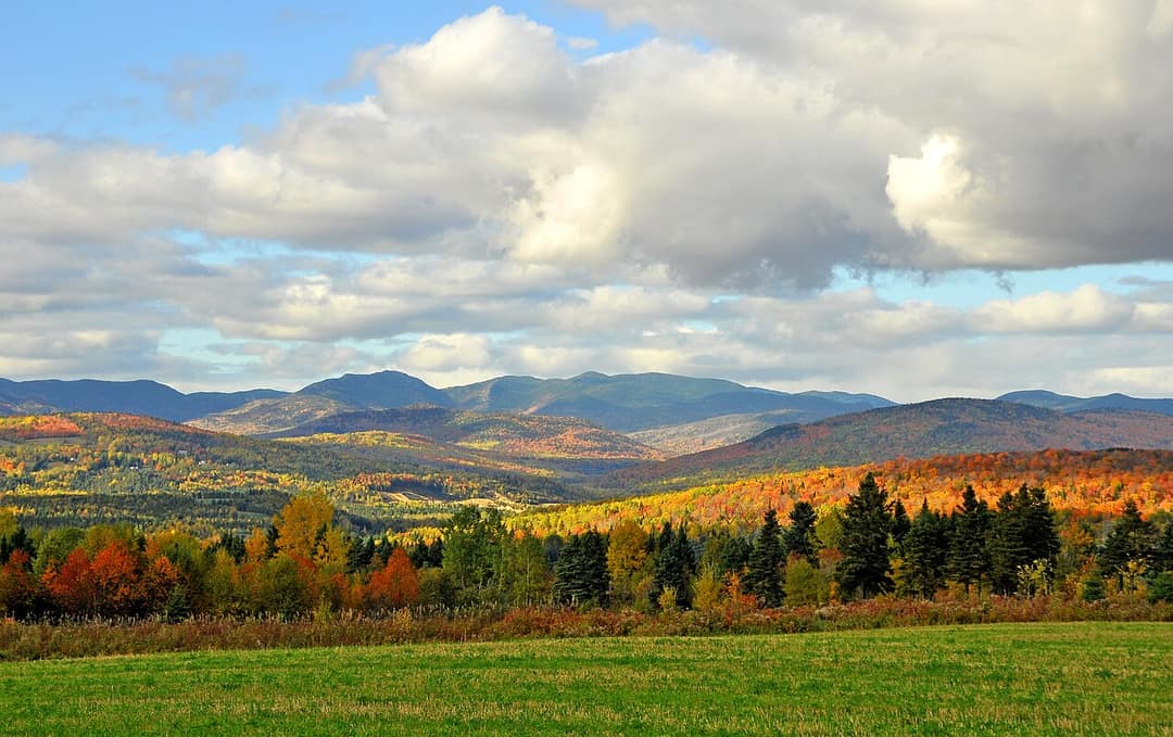 Route des Saveurs de Charlevoix : le guide gourmand pour croquer le terroir entre fleuve et…