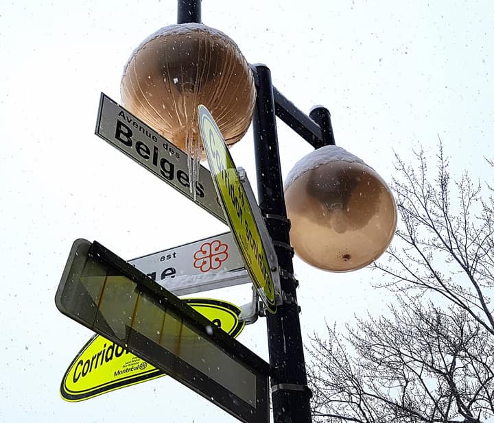 Flâner dans Villeray : notre guide à pied pour découvrir ce quartier de vie